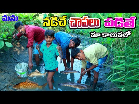 maa kaluvalo chpalu pattinam || manu madugulo chapalu  fish hutting || telugu letest all atoz