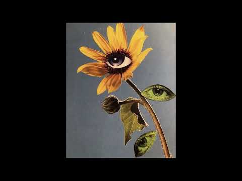 [FREE] Kendrick Lamar x Metro Boomin x Swae Lee Type Beat | “Her Eyes“