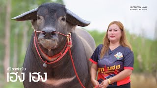 เฮงเฮง สุดหล่อ พ่อเพชรน้ำโขง(ปู่โชคกระบี่) แม่ศิริพร ปรีชาฟาร์ม จ.อุดรธานี