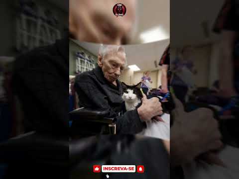 Conheça a história de Oscar #gatos #curiosidades #espiritualidade #animais #gatinhos