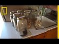 Dr. Dave's Traditional Medicine Insights