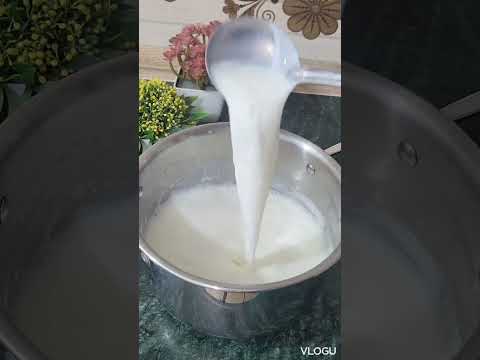 Homemade Yogurt Recipe | How to make Yogurt at Home | Yogurt Recipe