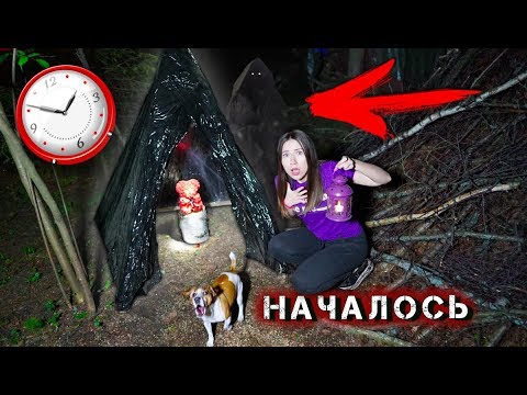 НОЧЬ в ЛЕСУ МИСТИКА на Кладбище Домашних Животных Траурный Мишка | Дом Призрак - Сезон 2 #1 Elli Di