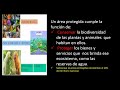 Áreas Protegidas y Conservación en Ecuador