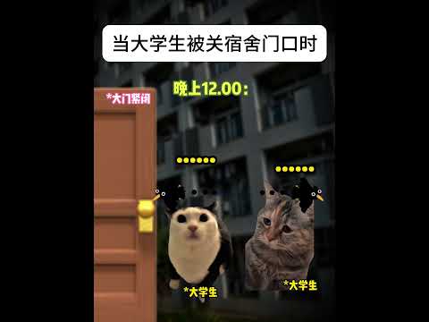 猫の動画サムネイル - 当大学生被关宿舍门口时#有趣 #猫meme #猫meme剧场 #猫meme小剧场 #内容过于真实  #故事 #貓 #猫猫meme小剧场 #喵不可言