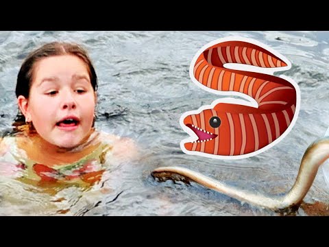 What's In The Water?!  |  Sweden 6
