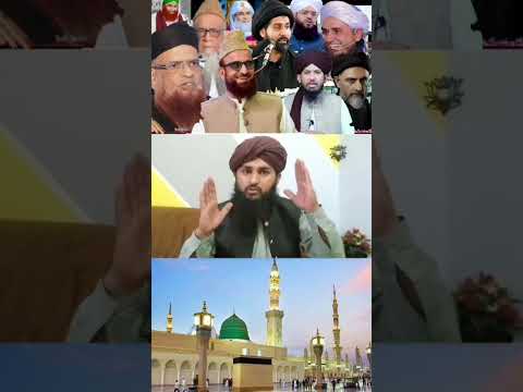 نہ میں وہابی نہ میں بابی میں ہوں مسلم علمی کتابی Only Muslim Only haq o batil 313