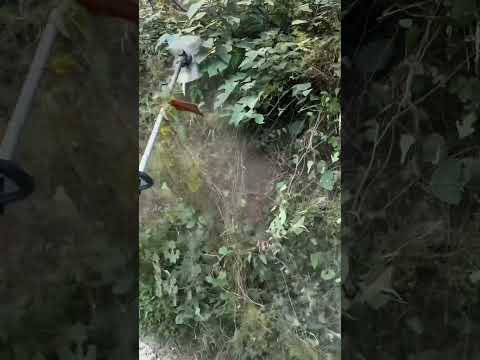 This lawnmower cuts grass very light and fast #craft  #machine