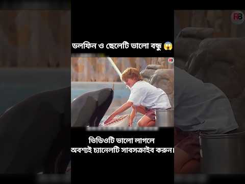 ডলফিন ও ছেলেটি ভালো বন্ধু #youtubeshorts #shortsviral #shortvideo #viralvideo #viralshort
