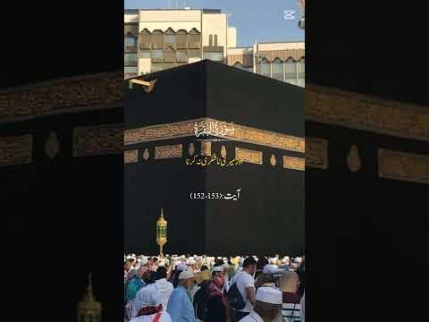 Quran#surah bakara 🥰# for you # must watch # ayat #qurann❤️