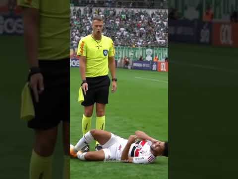 12° jogador do Palmeiras 😂. #palmeiras #saopaulo #brasileirao #sora2 #youtubeshorts #shorts #sora