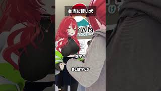 本当に賢い犬 #VRChat #Shorts