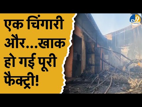 Haryana News: Yamuna Nagar की फैक्ट्री में लगी भीषण आग...एक चिंगारी से खाक हो गई पूरी फैक्ट्री!