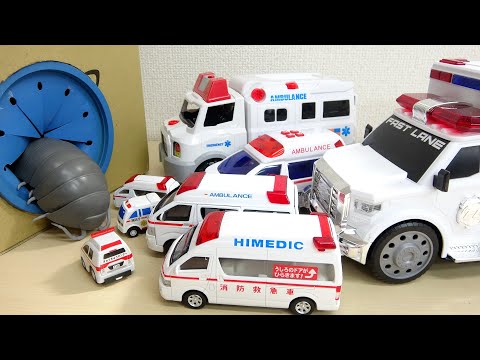 小さい救急車から大きい救急車に返信 巨大ダンゴムシとの戦い ambulance