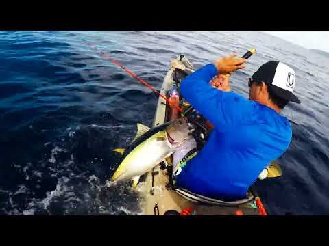 Where The Wild Tingz Stay: Boosting Your Prize Fish, Get Locked In (From the Vault)