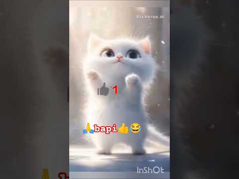 Cute baby teacup toy puppy🩷 #cute #baby #cutebaby #barkingbliss #dog #pets #toys #shorts #viral #4k🙏