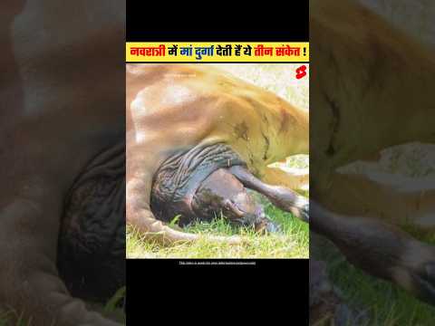 नवरात्रि में मां दुर्गा देती है ये तीन संकेत | Maa Durga gives these three signs #shorts #dailyfacts