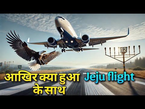 आखिर दक्षिण कोरिया की jeju flight के साथ क्या हुआ था?Jeju airplane landing collapse