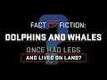 Cetacean Evolution and Fossil Record