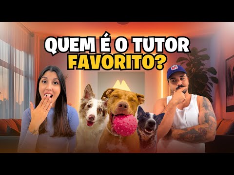 Descobrimos Quem É o Humano Favorito Do Sebastian, Da Valentina e Do Bento | Rotina De Um Dia Frio