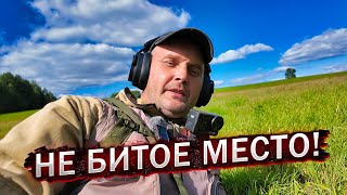СЛУЧАЙНАЯ ОСТАНОВКА — И СИГНАЛЫ ПОСЫПАЛИСЬ! ПОЛЯНА, О КОТОРОЙ НИКТО НЕ ЗНАЛ…