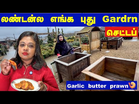 Our new garden setup plan with செம்மையான garlic butter 🍤 prawn/கதறும் UK அரசு Epstein files