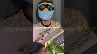 Who did it better? #talkingmask #parrot #talkingparrot