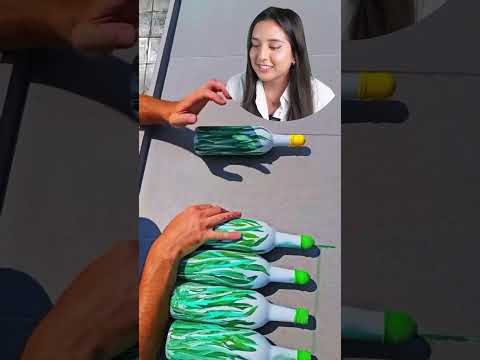 Este video esta increíble! Botellas vs escaleras 🤯