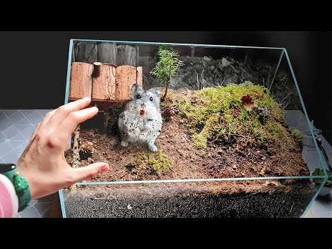 STEPHAN WENT FERAL IN THE UNDERGROUND TERRARIUM
