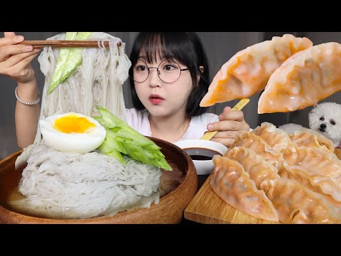여름 더위 날리는 냉면 한그릇 시원하게 먹방🍜ft. 찐만두 Cold Noodles & Dumplings Mukbang ASMR