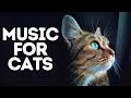 Relaxation Techniques for Cats