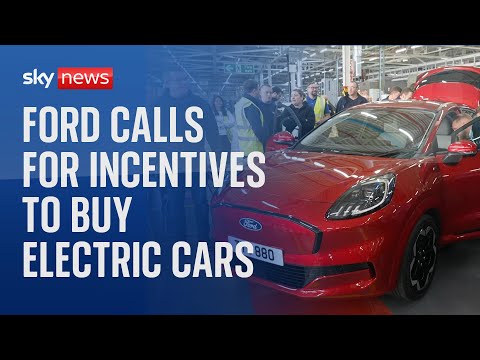 Ford's UK boss demands taxpayer incentives of thousands of pounds to drive electric future