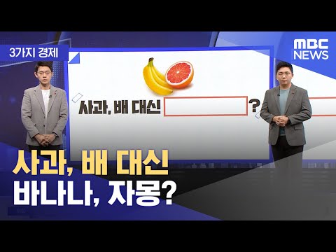 [3가지 경제] 사과, 배 대신 바나나, 자몽? (2023.12.26/뉴스투데이/MBC)