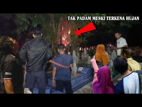 DETIK-DETIK POHON JATI ANGKER TIBA-TIBA KELUARKAN SEMBURAN API!! WARGA HEBOH KARENA TAK MAMPU PADAM