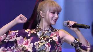 GARNIDELIA 極楽浄土（极乐净土）BML LIVE（中文字幕）