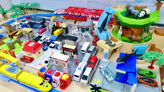 動画サムネイル