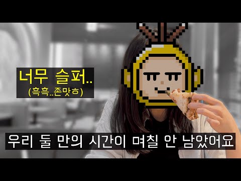 얼마 안 남은 둘만의 시간을 보내는 판교 개발자 부부 (출산이슈/비둘기이슈/주니어커피챗/맛집투어)