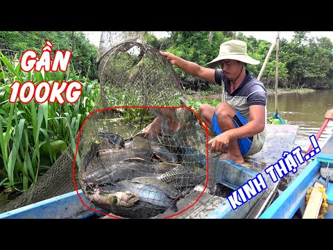 Thăm Dớn Mùa Nước Lũ | Kinh Thật! Gần 100kg Cá Chìm Xuồng Mất | Xem Một Lần Nhớ Mãi