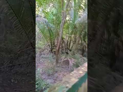 hadra kardi #viewskaisebadhaye #increasesusbcribers #ytshorts #follow #increasesusbcribers #foryou