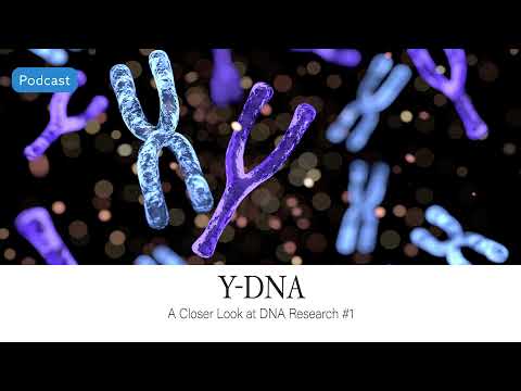 AF-547: Y-DNA: A Closer Look at DNA Research #1 | Ancestral Findings Podcast