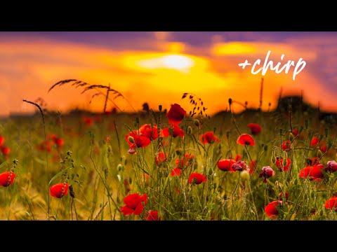 Beautiful Piano Music - Relaxing Music, Study Music, Stress Relief, Sleep Music (Liana)