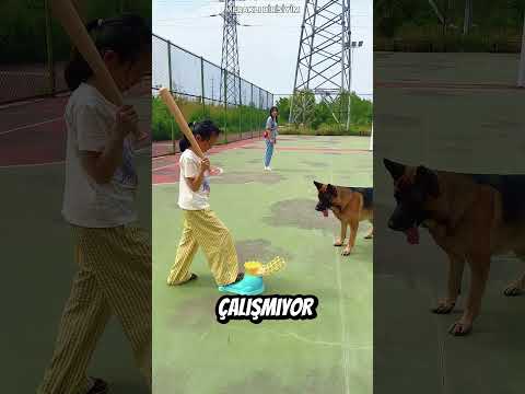 Top Fırladı, Köpek ve Kız Şaşkın! ⚾😲