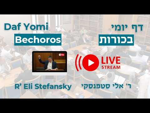 מרכז דף יומי -  בכורות דף כד. - ר' אלי סטפנסקי שליט"א (לא ערוך)