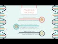 Understanding mRNA Vaccine Mechanisms