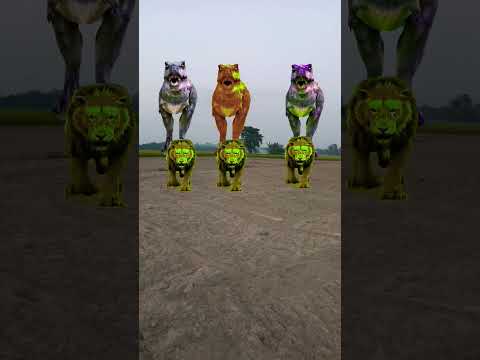 Big dinosaur Chase t-rex chasing part-276#shorts #vfxviralvideo #dinosaur #pterosaurus #dino