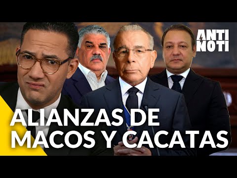 Las Alianzas Electorales De Macos y Cacatas [Editorial] | Antinoti