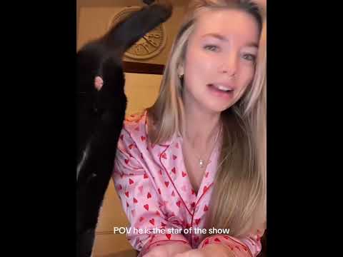 “Cat：I'm the star!”#fyp #foryou #cat #petlove #catlover #funny #funnyvideos #fypage #funnycat #cats
