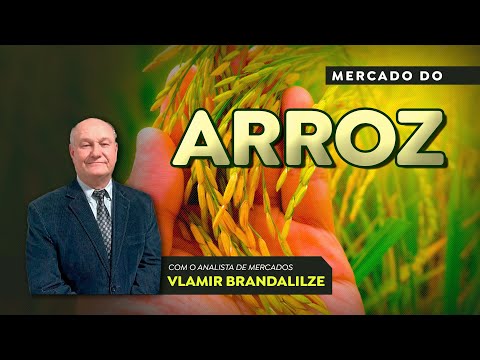 Correções nos preços do arroz devem ser aplicadas nas próximas semanas.