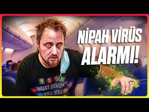 Nipah Virüsü Pandemiye Dönüşür mü?