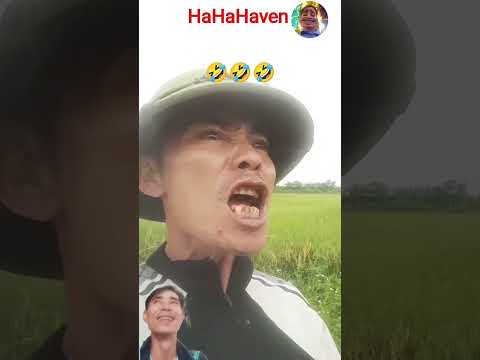 entertainment, the most powerful voice in the world